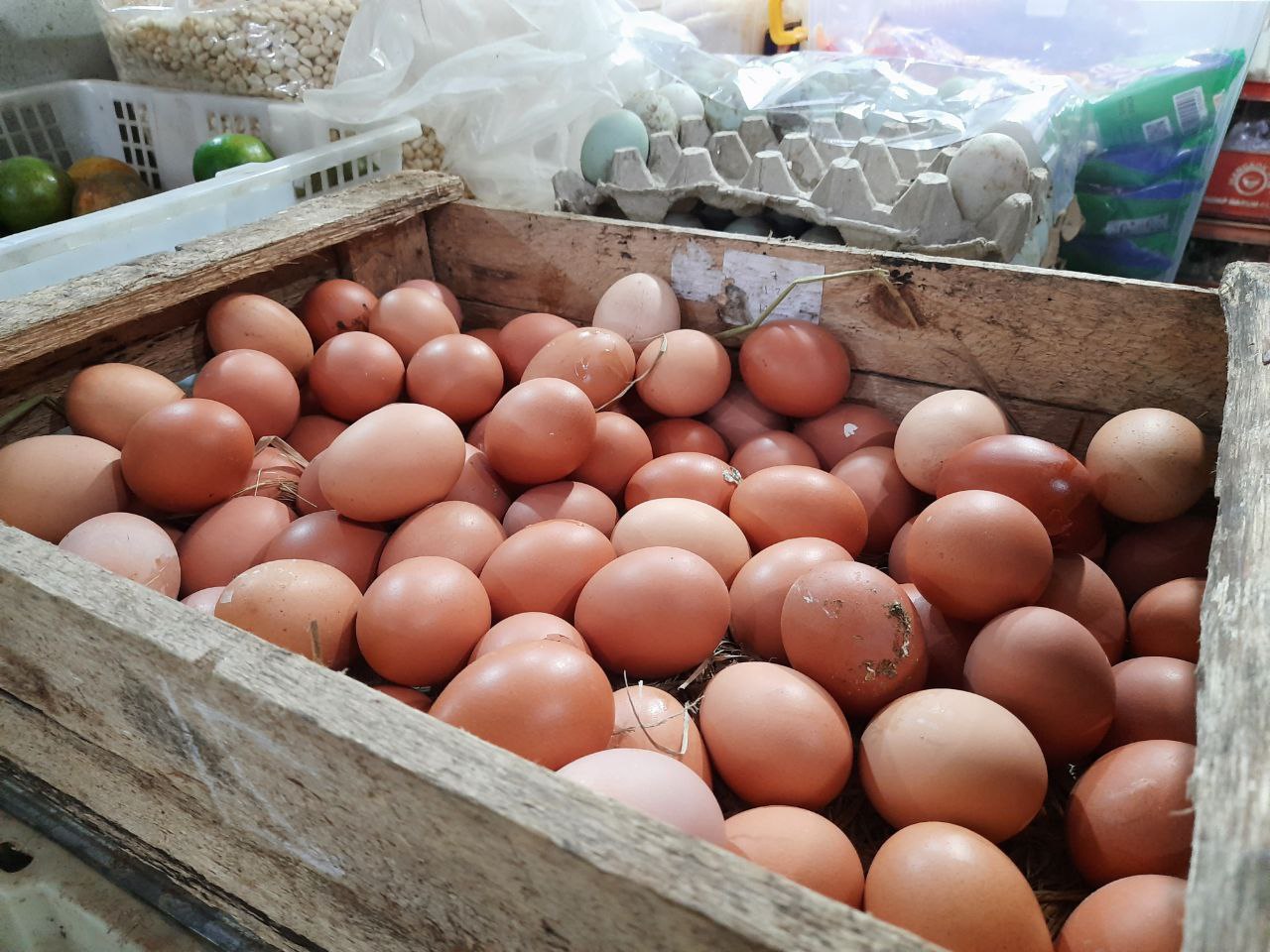 Disdagperin Pati Nilai Kenaikan Harga Telur Hal Biasa