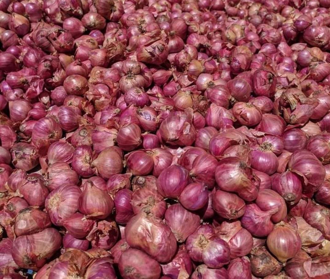 Harga Bawang Merah di Pati Merangkak Naik