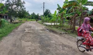 2 Tahun Tak Direvitalisasi, Jalan Alternatif Pati-Winong Banyak yang Berlubang 2 Tahun Tak Direvitalisasi, Jalan Alternatif Pati-Winong Banyak yang Berlubang