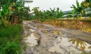 Masa Jabatan Haryanto Habis, Jalan Sukolilo-Prawoto Belum Juga Tersentuh Alat Berat