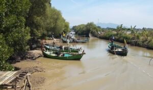 Harga Rajungan Hancur Tidak Bisa Diintervensi, DPRD: Minimal Subsidi BBM