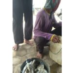 Harga Rajungan Makin Anjlok, Nelayan Kecil di Bumirejo Menjerit