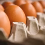Kenaikan Harga Pakan Ayam, Turut Berdampak Pada Harga Telur
