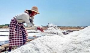 DKP Dorong Petani di Pati Bisa Ciptakan Garam dengan Kualitas Baik DKP Dorong Petani di Pati Bisa Ciptakan Garam dengan Kualitas Baik