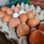 Stok Buat PKH, Harga Telur di Pati Naik Jadi 30 Ribu