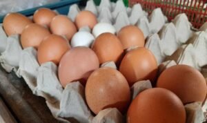Stok Buat PKH, Harga Telur di Pati Naik Jadi 30 Ribu Stok Buat PKH, Harga Telur di Pati Naik Jadi 30 Ribu