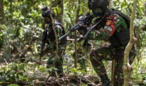Tembaki Kucing-kucing di Area TNI, Ini Pelaku dan Alasannya