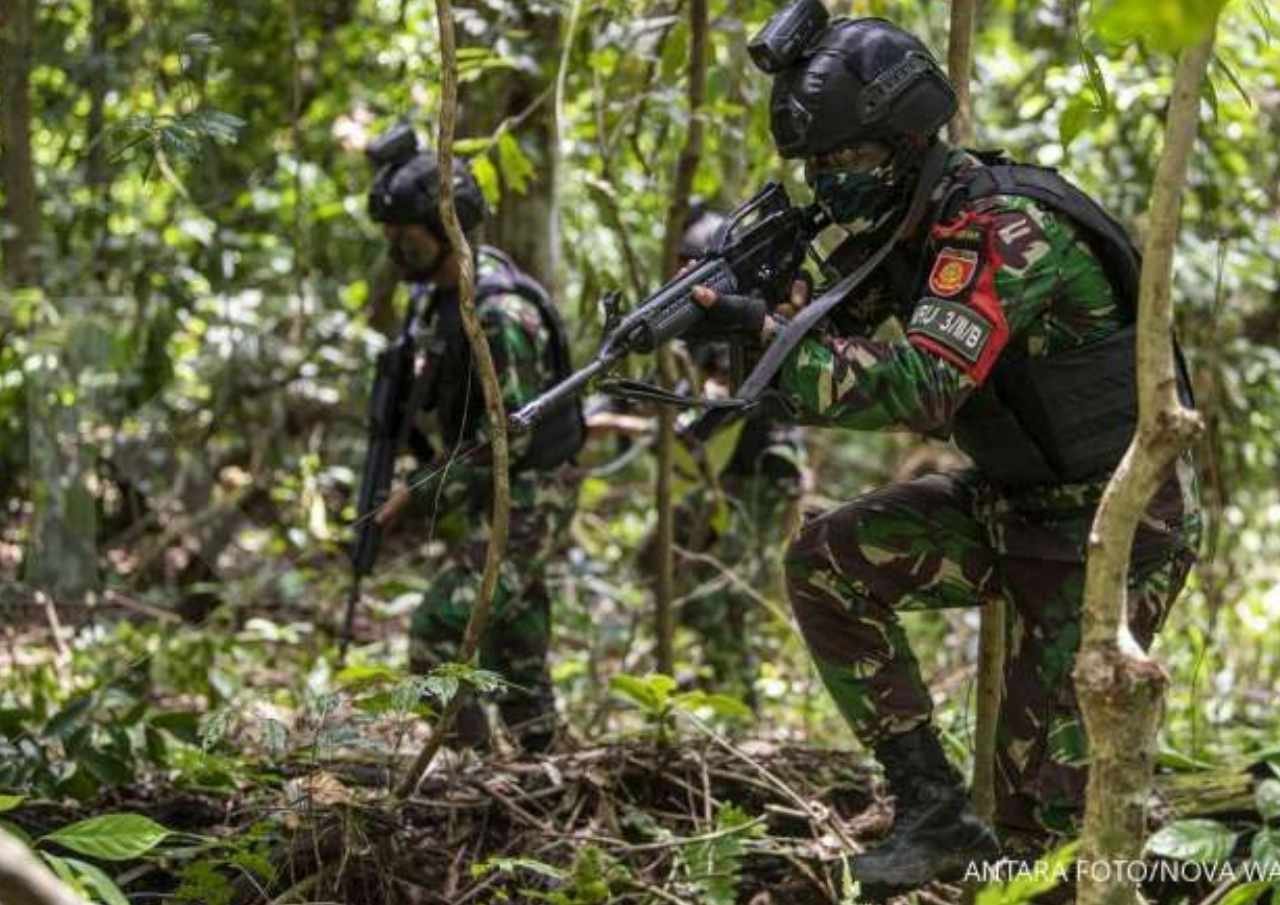 Tembaki Kucing-kucing di Area TNI, Ini Pelaku dan Alasannya