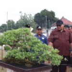 Pameran Bonsai Mendapat Dukungan dari Pemkab Rembang