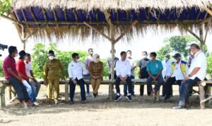 Tingkatkan Produktivitas Pertanian, Jokowi Luncurkan Food Estate di Gresik