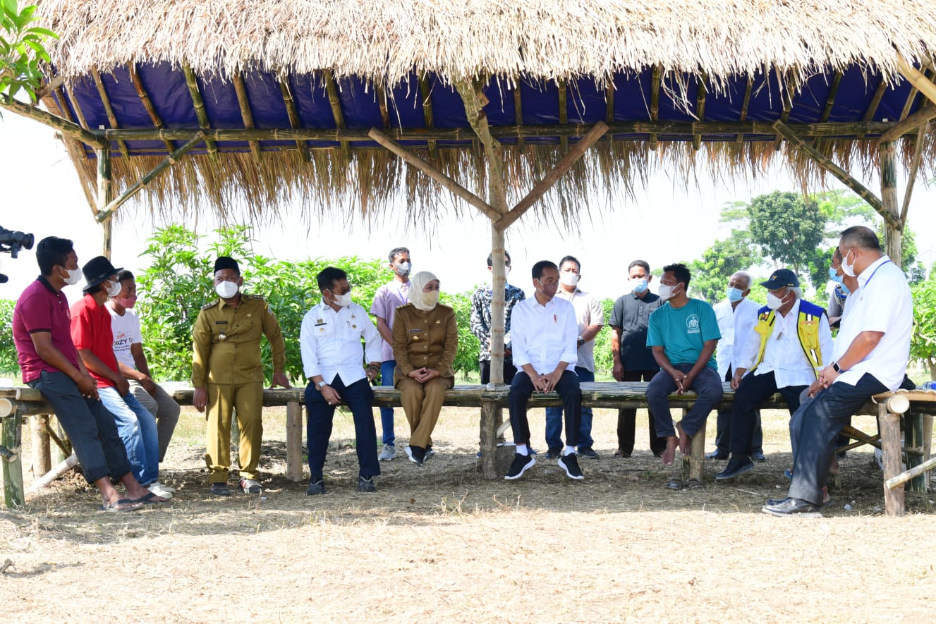 Tingkatkan Produktivitas Pertanian, Jokowi Luncurkan Food Estate di Gresik