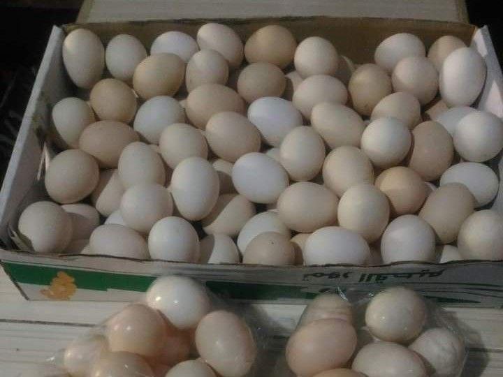 Foto: harga telur di Pati pekan ini capai harga Rp28 ribu (Sumber: Istimewa)