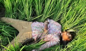 Perempuan di Margorejo Hangus Tersengat Perangkap Tikus