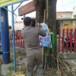 Satpol PP Kembali Copot Puluhan Spanduk di Pati Satpol PP Kembali Copot Puluhan Spanduk di Pati