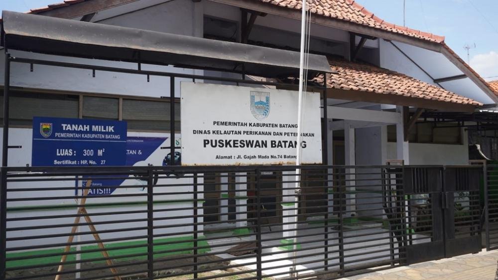 Fokus Penanganan PMK, Puskeswan Kabupaten Batang Ditutup Sementara