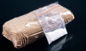 Penyelundupan Paket Sabu 22 Kg Melalui Jalur Laut Berhasil Digagalkan