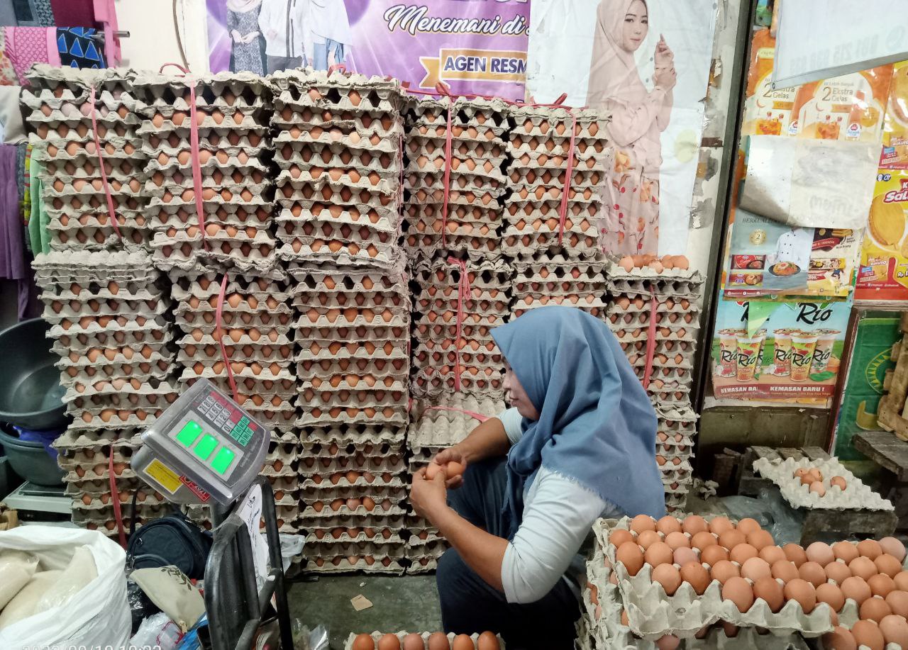 Harga Telur di Pasar Sudah Mulai Turun