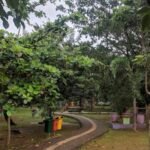 Ruang Terbuka Hijau di Pati Kota Masih Dianggap Kurang, Perlu Adanya Penambahan