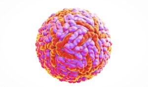 BPOM Keluarkan Izin Edar Vaksin Qdenga untuk Cegah Merebaknya Virus Dengue