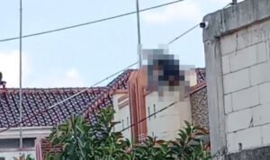 Foto: Seorang warga Desa Kecamatan Sukolilo, Kabupaten Pati, meninggal tersengat aliran listrik Foto: Seorang warga Desa Kecamatan Sukolilo, Kabupaten Pati, meninggal tersengat aliran listrik