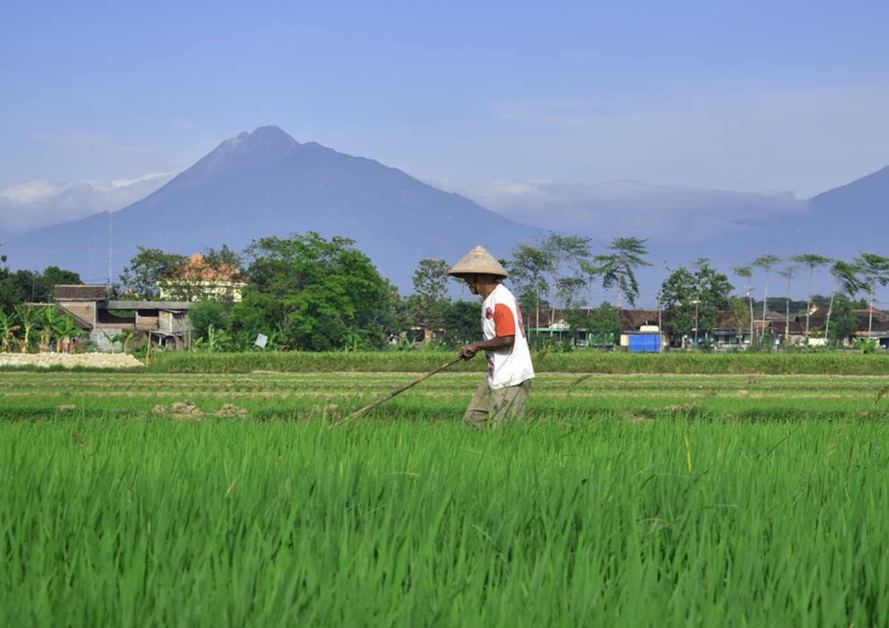 Dapat Julukan Agraris dan Maritim, Petani dan Nelayan Indonesia Belum Sejahtera