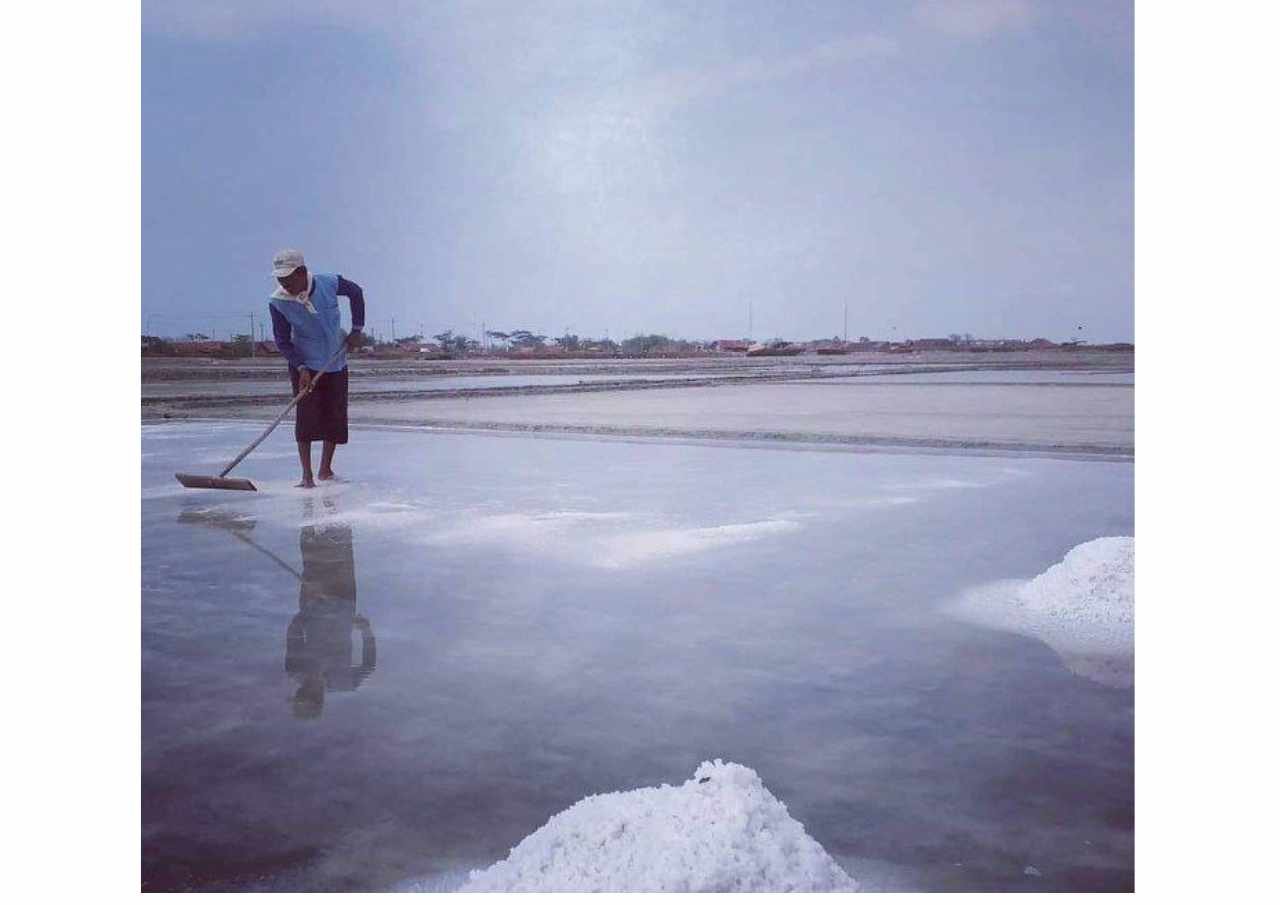 Produksi Garam di Kabupaten Rembang Turun, Harga Merangkak Naik Produksi Garam di Kabupaten Rembang Turun, Harga Merangkak Naik