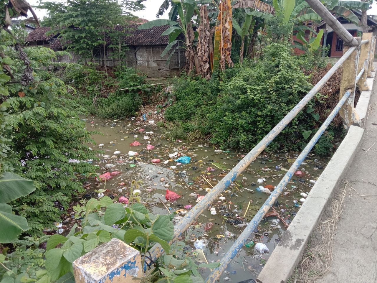 Sampah Masih Bersarang di Kali, Perda Pengelolaan Sampah Pati Belum Efektif