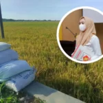 DPRD Harapkan Peranan Pemerintah Dorong Generasi Muda Untuk Bertani