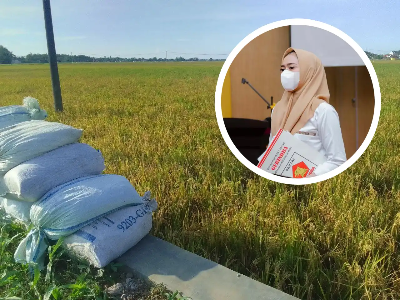 DPRD Harapkan Peranan Pemerintah Dorong Generasi Muda Untuk Bertani