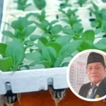Hidroponik Kembali Digaungkan Kawula Muda, DPRD Apresiasi Penuh