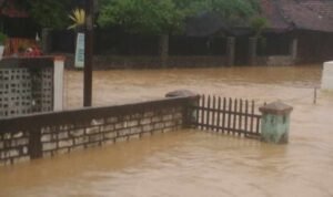 Foto : Kondisi Banjir di wilayah salah satu titik di Desa Kedalingan Kecamatan Tambakromo (Sumber : Mitrapost.com/ Anang SY) Foto : Kondisi Banjir di wilayah salah satu titik di Desa Kedalingan Kecamatan Tambakromo (Sumber : Mitrapost.com/ Anang SY)