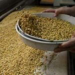 Foto: Produk Kedelai Impor di Agen Penjualan/mitrapost.com/Sri Lestari