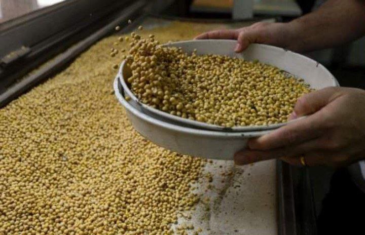 Foto: Produk Kedelai Impor di Agen Penjualan/mitrapost.com/Sri Lestari