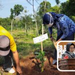 DPRD Pati Sebut Program Kehutanan Sosial Bermanfaat bagi Masyarakat Sekitar Hutan DPRD Pati Sebut Program Kehutanan Sosial Bermanfaat bagi Masyarakat Sekitar Hutan