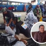Dana Sharing PNBP Sektor Perikanan Belum Ditetapkan, Sebabkan PAD Pati Tahun Depan Turun Dana Sharing PNBP Sektor Perikanan Belum Ditetapkan, Sebabkan PAD Pati Tahun Depan Turun