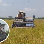 Bulog Siap Impor Beras, Begini Tanggapan DPRD Pati