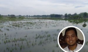 Potensi Banjir Kembali Meningkat, DPRD Pati Ingatkan Sosialisasi Asuransi Petani