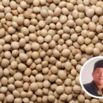 Dewan Minta Pemkab Lebih Perhatikan Petani Kedelai lokal