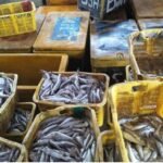 Foto: Suasana Tempat Pelelangan Ikan (TPI) Rembang/mitrapost.com/Sri Lestari