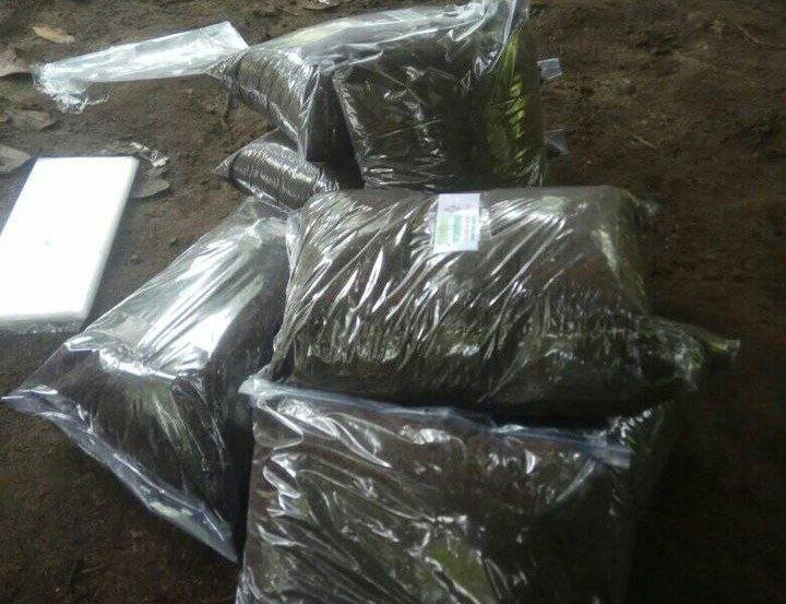 Foto: Pupuk Organik dalam kemasan/mitrapost.com/Sri Lestari