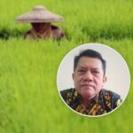 DPRD Pati Sukarno Dorong Pemkab Pati Kedepankan Investasi Bidang Pertanian