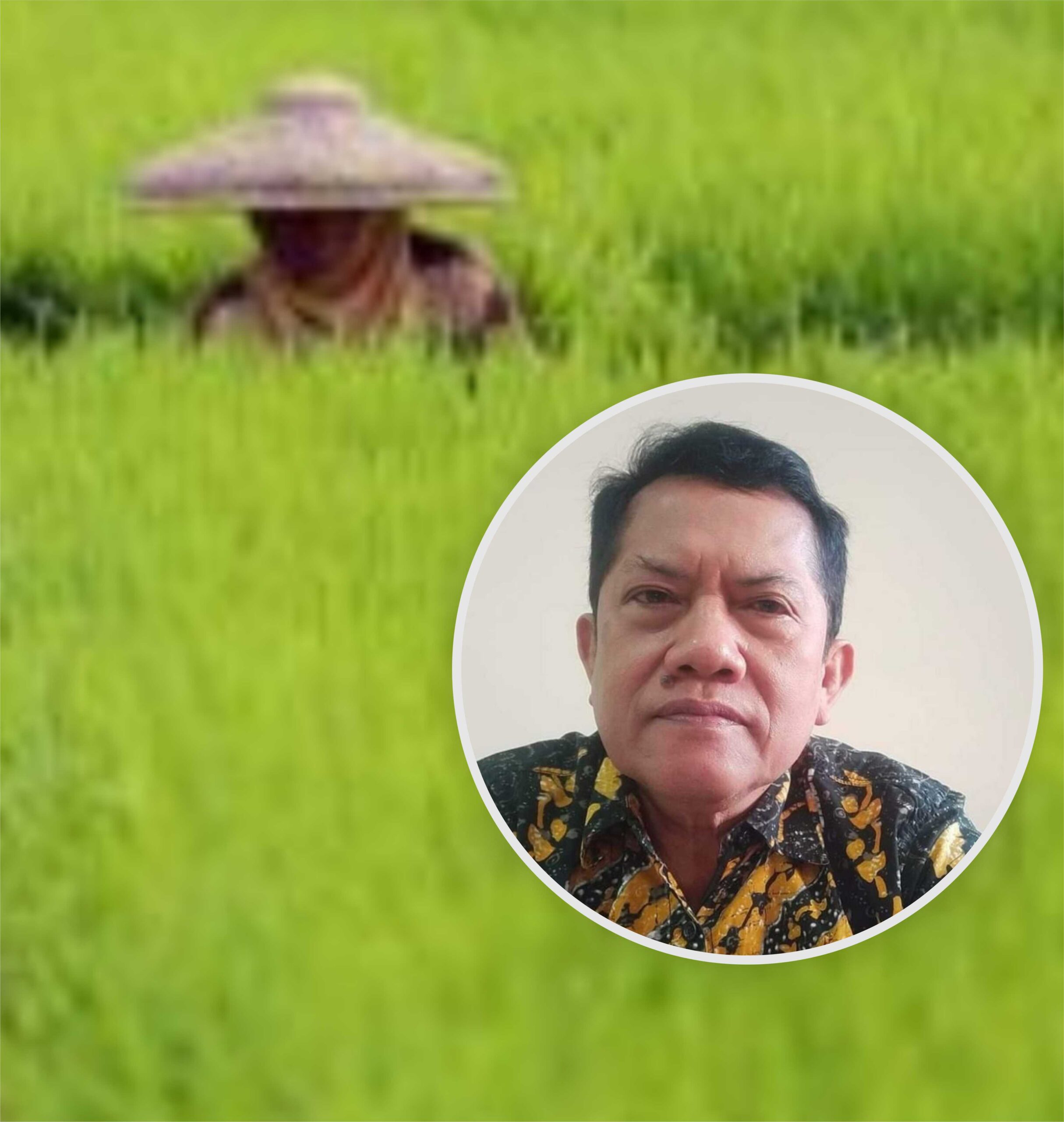 DPRD Pati Sukarno Dorong Pemkab Pati Kedepankan Investasi Bidang Pertanian