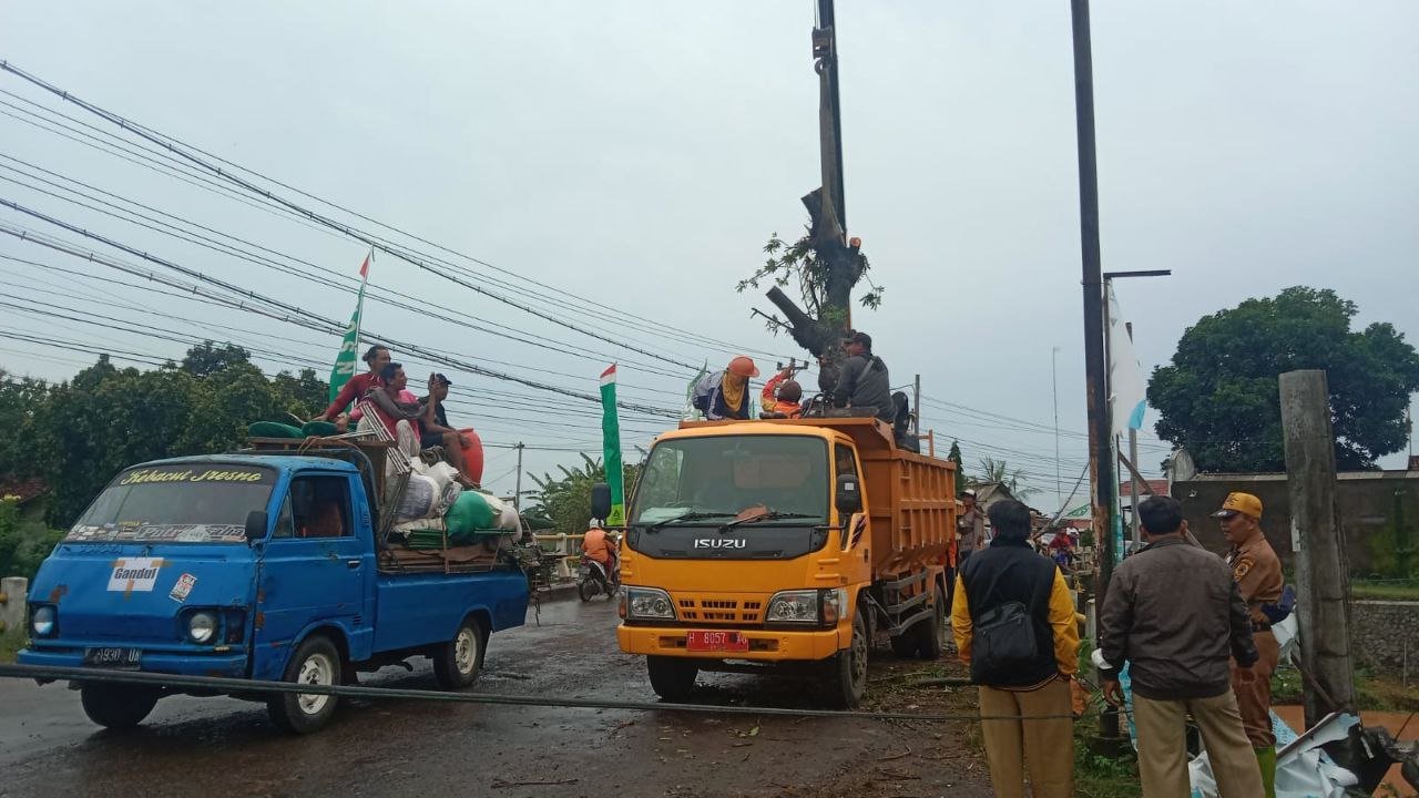 Pohon Randu Rubuhi Jembatan Pakis, Sebabkan Kemacetan Hingga Kerugian Rp10 Juta