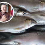 Komisi B Ajak Masyarakat Gemar Konsumsi Ikan