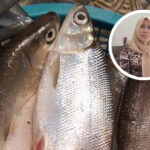Cegah Stunting, Dewan Ajak Masyarakat Gemar Konsumsi Ikan