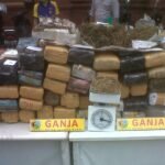 Kasus Judi dan Narkoba Paling Banyak Disidangkan Tahun 2022