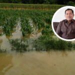 Lahan Pertanian Pati Selatan Habis Dihantam Banjir Bandang, Begini Tanggapan Komisi B Lahan Pertanian Pati Selatan Habis Dihantam Banjir Bandang, Begini Tanggapan Komisi B