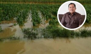 Lahan Pertanian Pati Selatan Habis Dihantam Banjir Bandang, Begini Tanggapan Komisi B