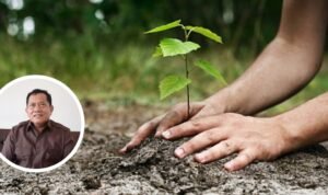 Foto: Ilustrasi penghijauan (Sumber: iStock)