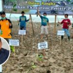 Musim Gelombang Tinggi, Anggota DPRD Minta Pemkab Gencarkan Tanam Mangrove